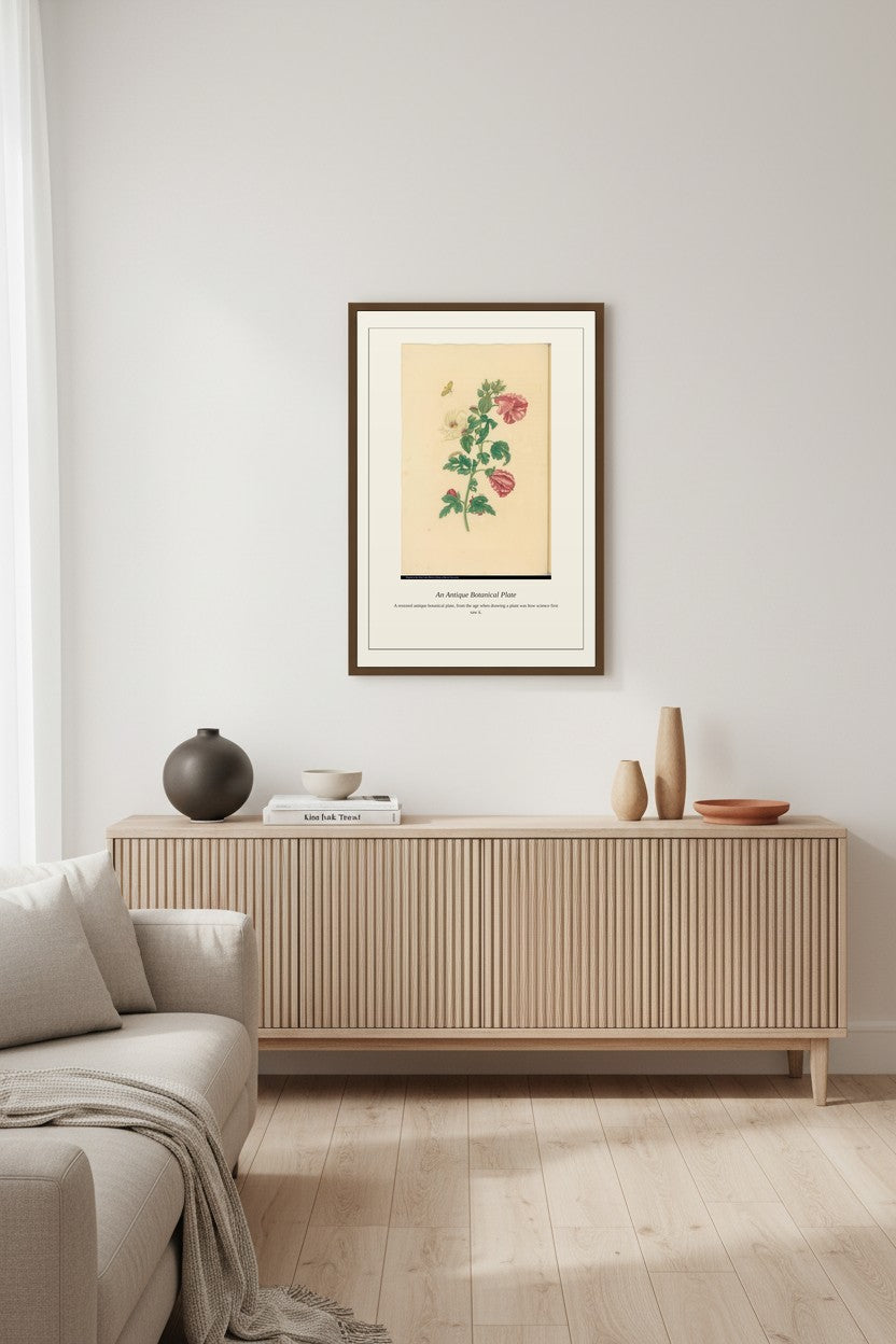 Butterfly on a Hibiscus Plant — Antique Botanical Print