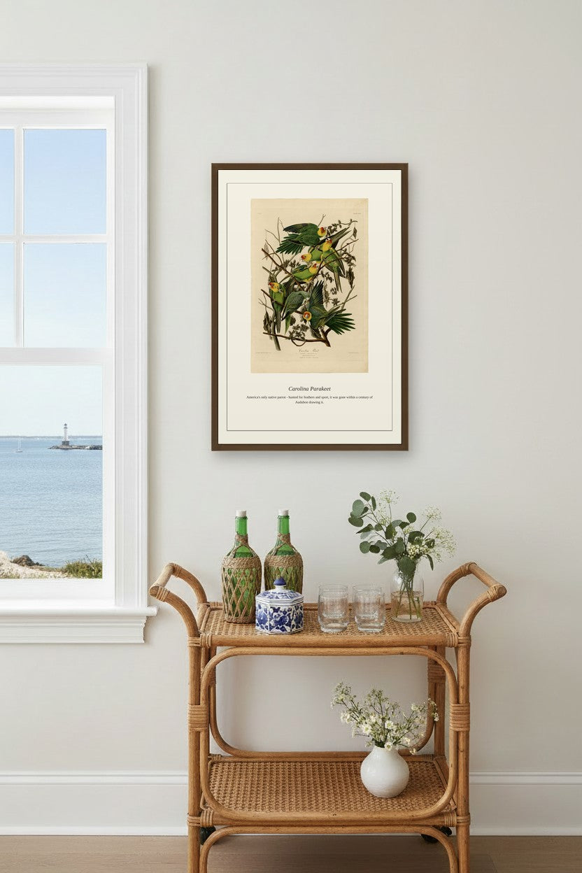 Carolina Parrot lithograph framed above a rattan bar cart near a window overlooking the coast