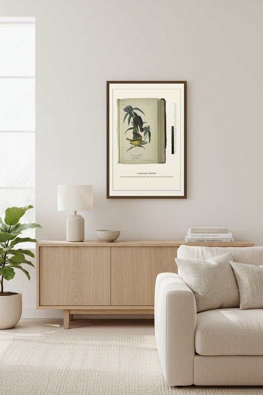 Connecticut Warbler. I. Male. II. Female — Antique Bird Print