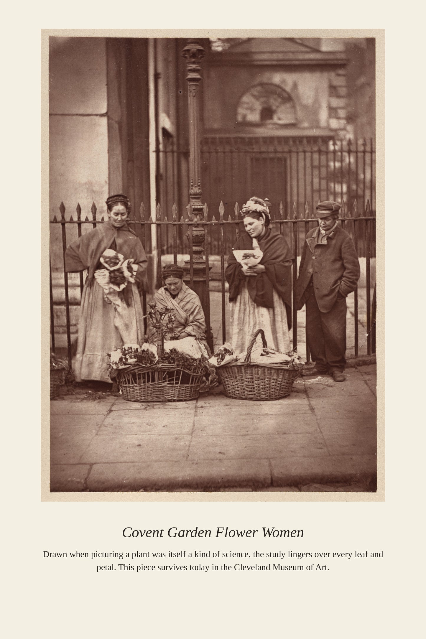 Covent Garden Flower Women — a restored antique botanical print