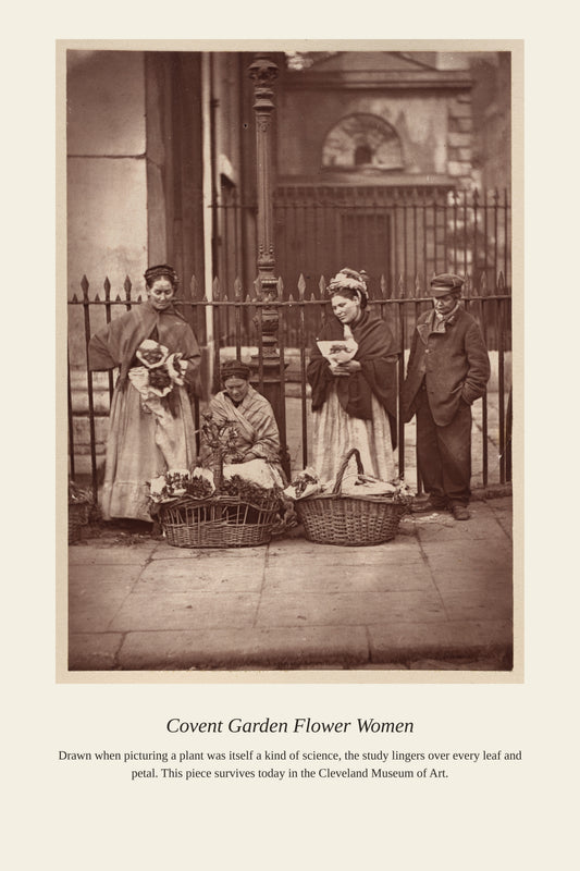 Covent Garden Flower Women — a restored antique botanical print