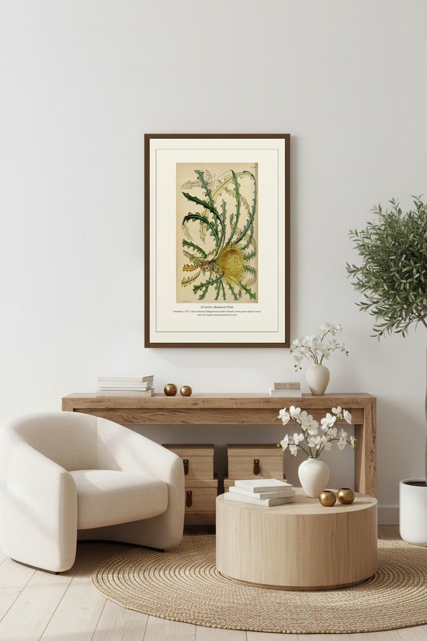 A Curtis's Botanical Plate — Antique Botanical Print