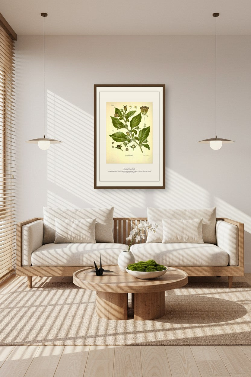 Belladonna botanical art print in a sunlit room with rattan pendant lamps