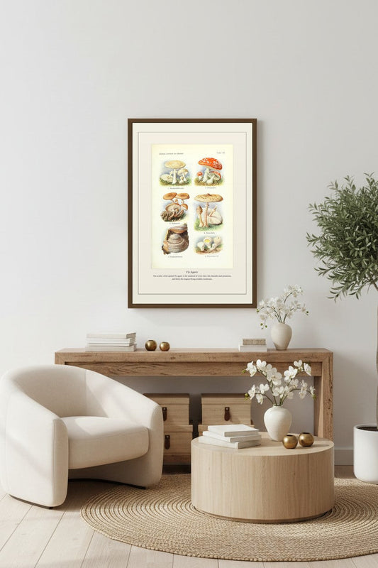 Fly Agaric — Antique Botanical Print