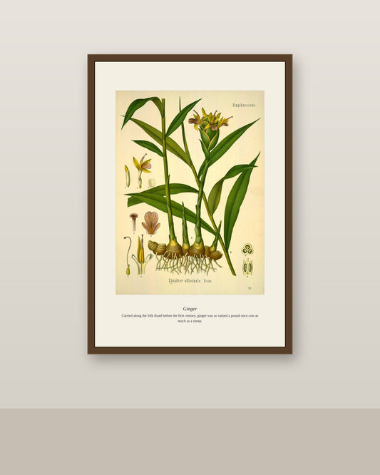 Ginger botanical print framed above a wood console with vases in a neutral room