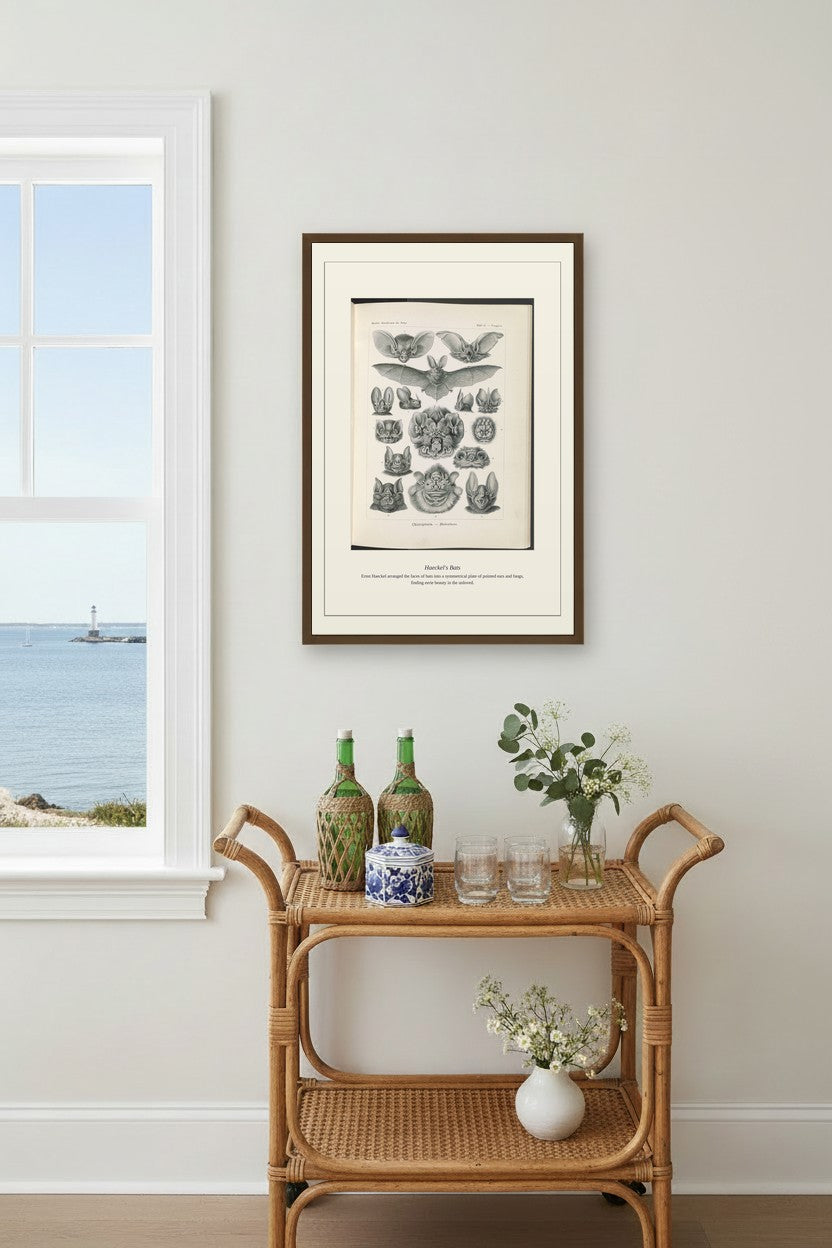 Haeckel's Bats illustration plate framed above a rattan bar cart near a coastal window with a lighthouse view