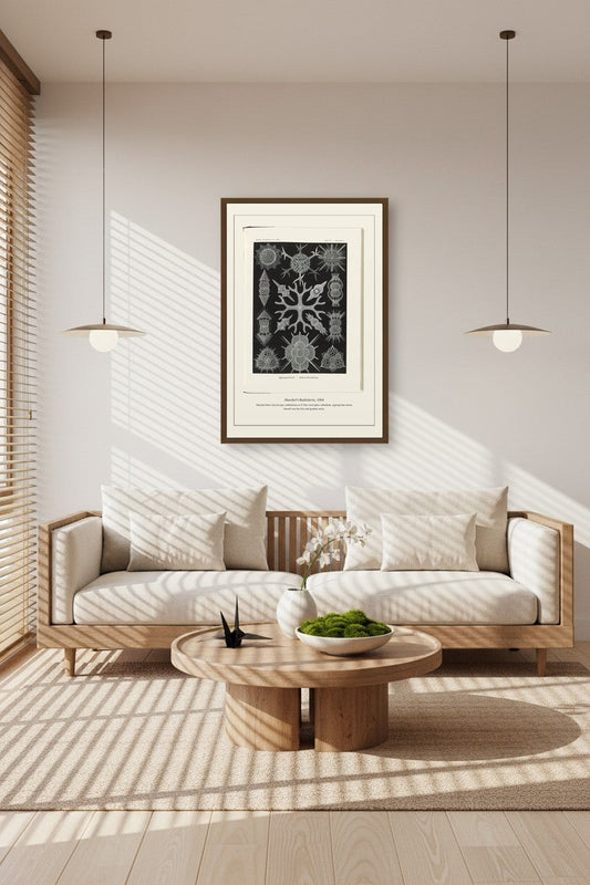 Framed Haeckel's Radiolaria print in a sunlit living room with wood-slat sofa