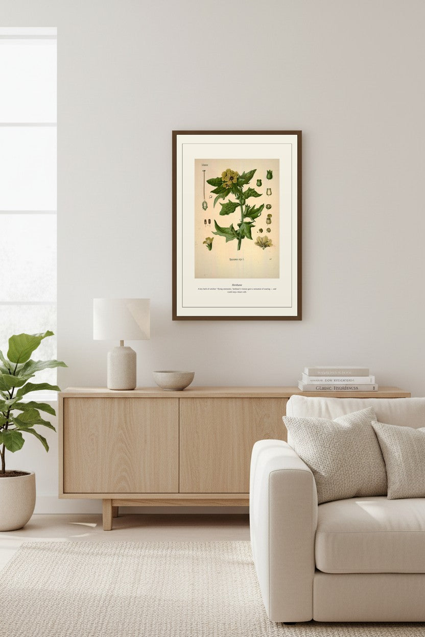 Henbane art print framed in a wood-paneled dining room beside a window