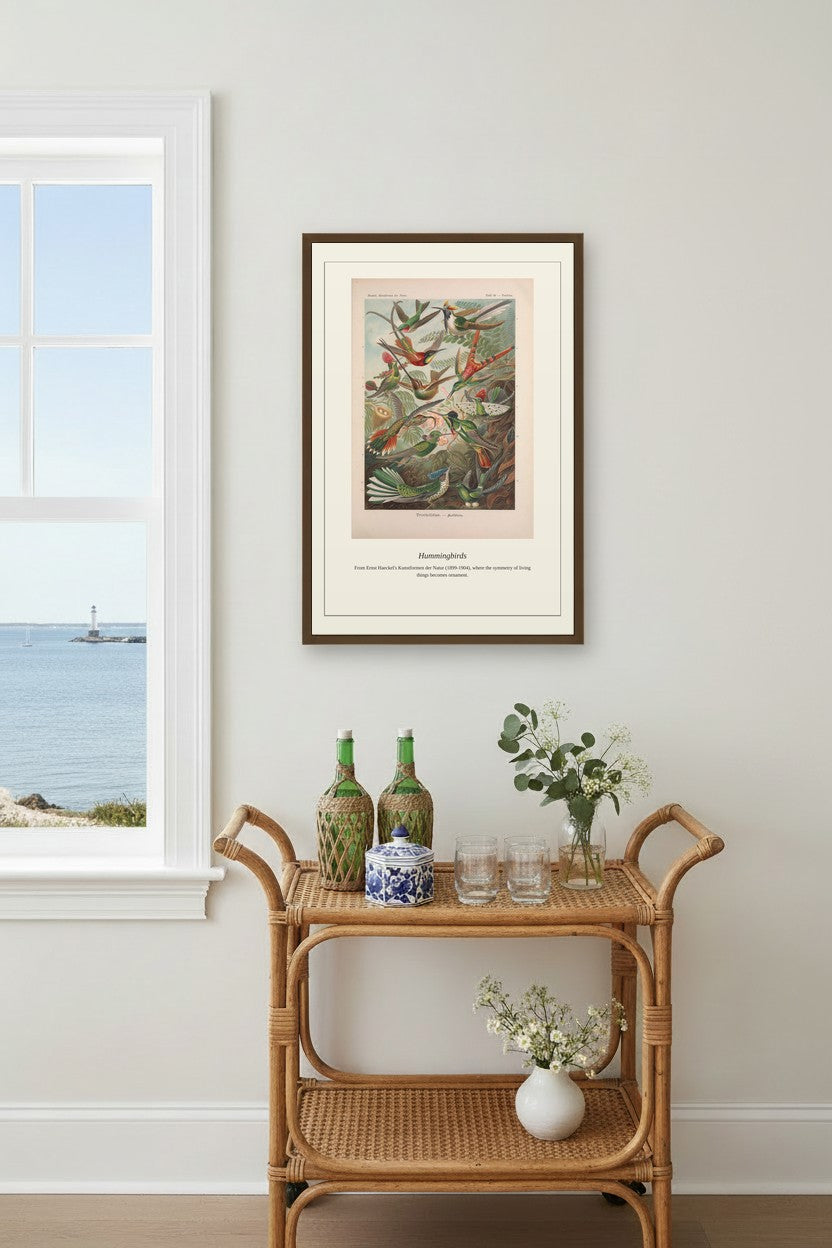 Hummingbirds — Antique Natural History Print