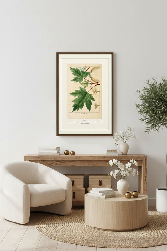 Maple botanical plate above a cream sofa flanked by wall sconces