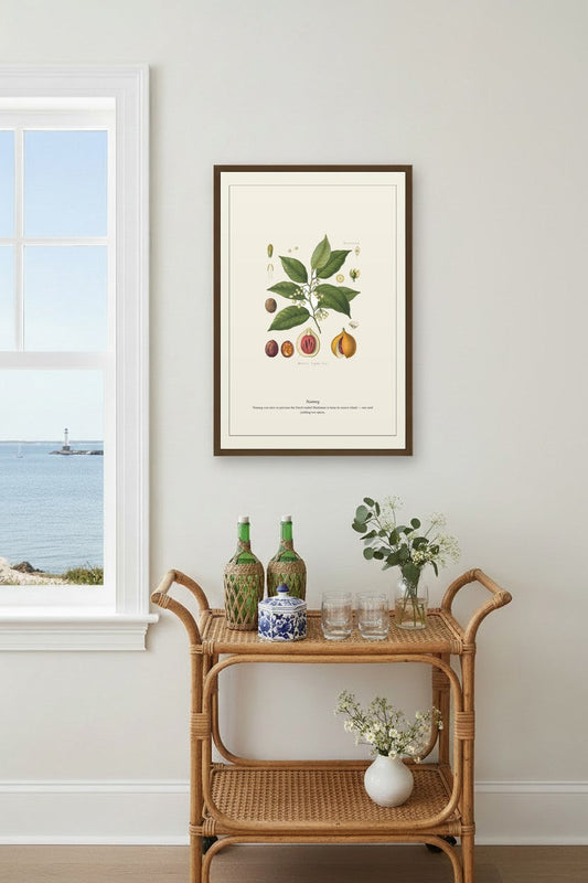 Nutmeg illustration framed in a coastal living room with rattan bar cart