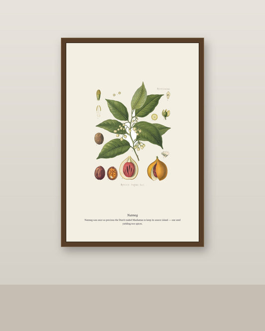 Nutmeg botanical print framed above a rattan bar cart near a coastal window
