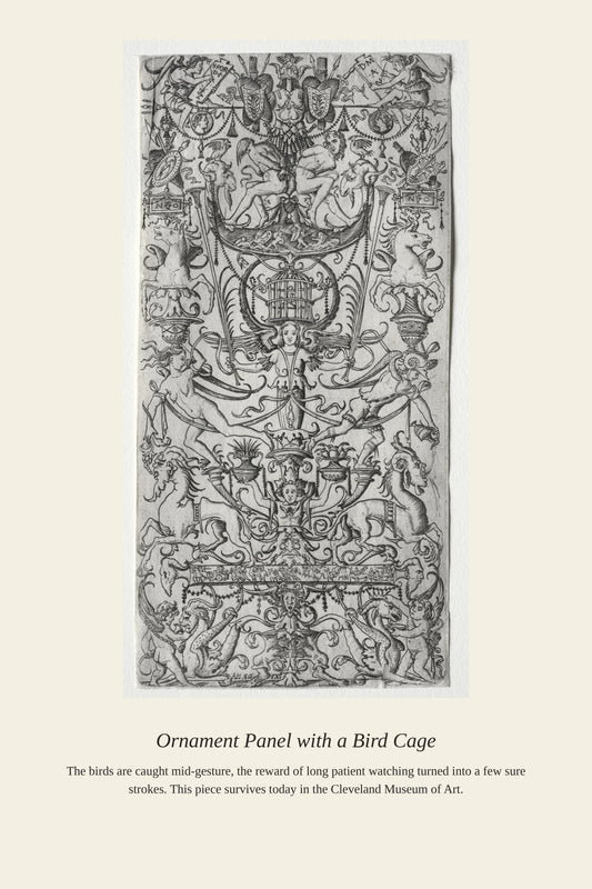 Ornament Panel with a Bird Cage — a restored antique natural history print