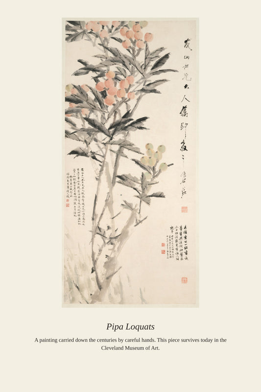 Pipa Loquats — a restored antique asian art print