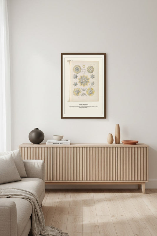 Polycyttaria — Antique Art Print