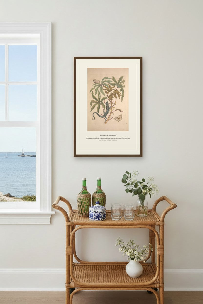 Surinam Insects and Plants (10) — Antique Botanical Print