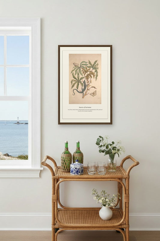 Surinam Insects and Plants (10) — Antique Botanical Print