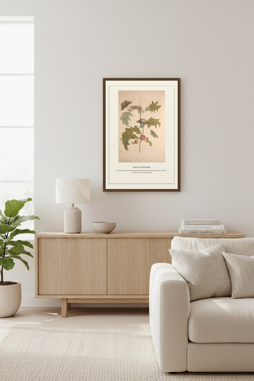 Surinam Insects and Plants (12) — Antique Botanical Print
