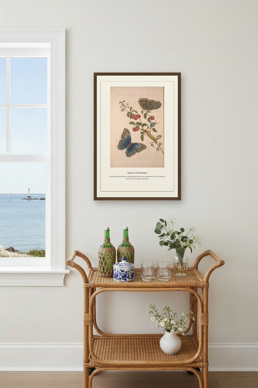 Surinam Insects and Plants (13) — Antique Botanical Print