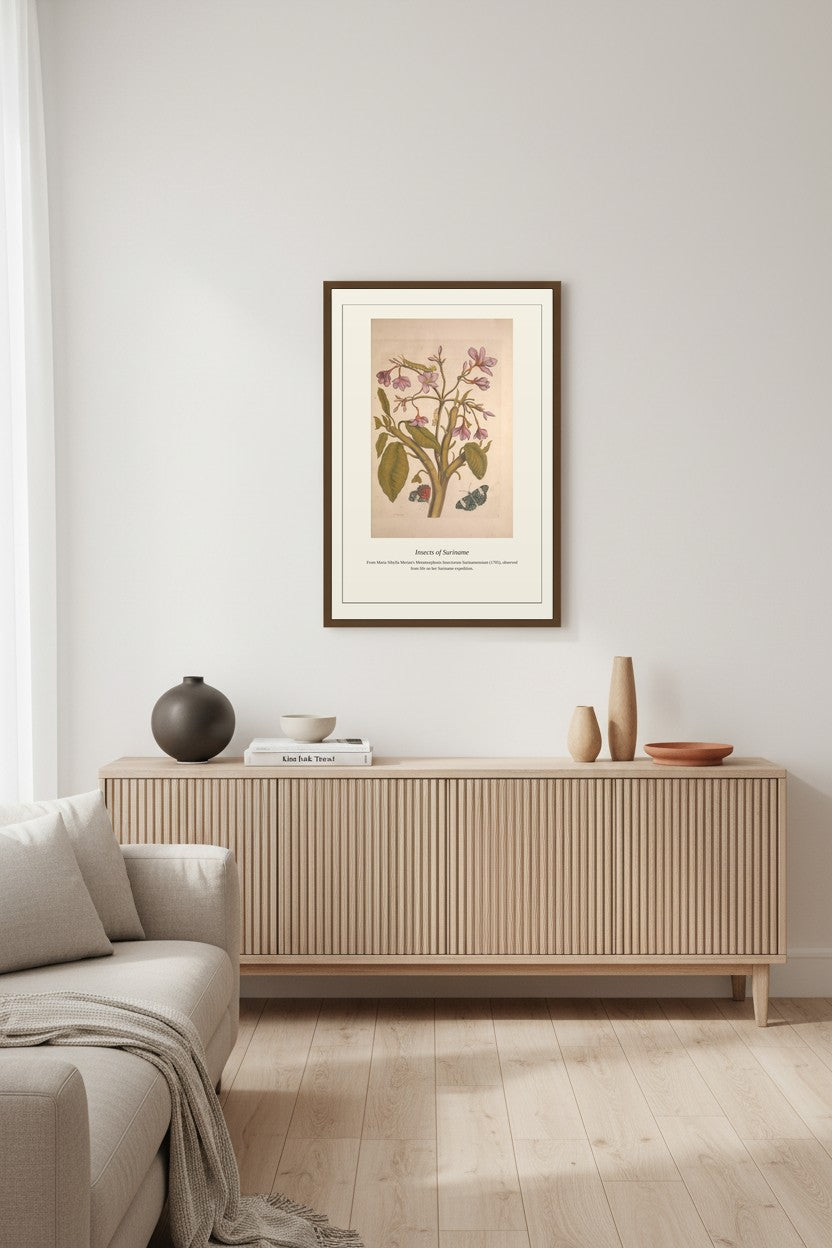 Surinam Insects and Plants (14) — Antique Botanical Print