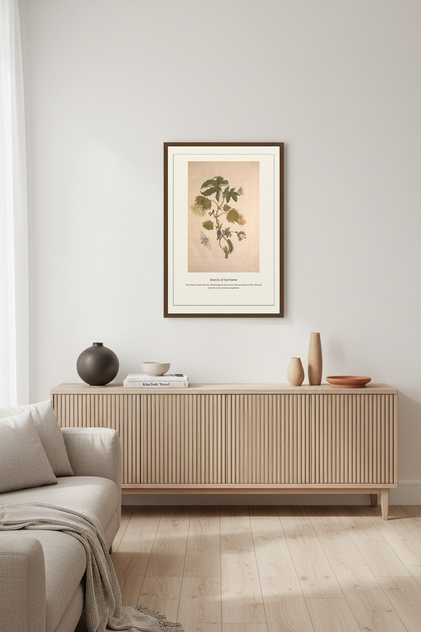 Surinam Insects and Plants (3) — Antique Botanical Print