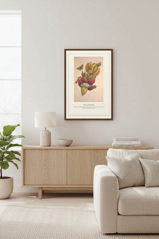 Surinam Insects and Plants (4) — Antique Botanical Print