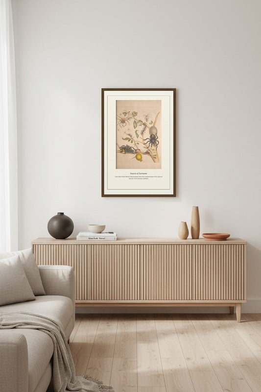 Surinam Insects and Plants (6) — Antique Botanical Print