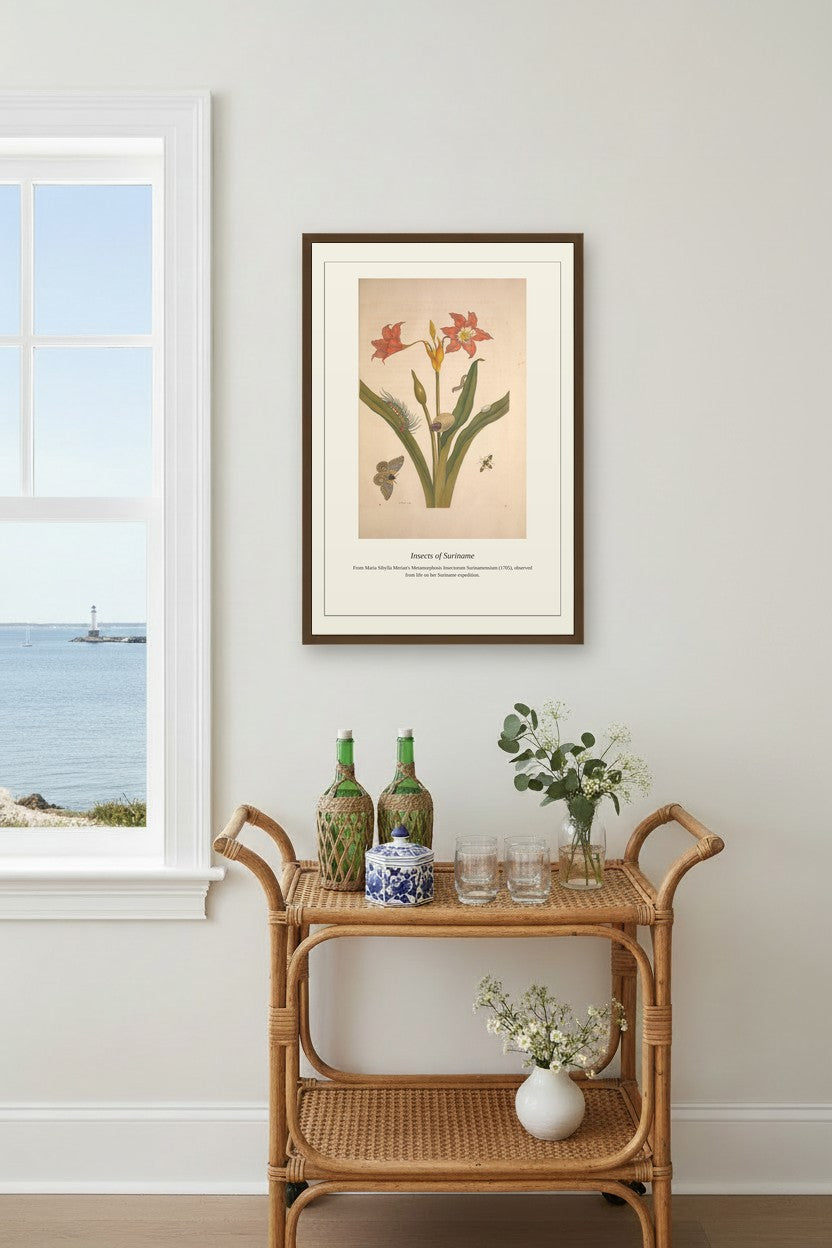 Surinam Insects and Plants (8) — Antique Botanical Print