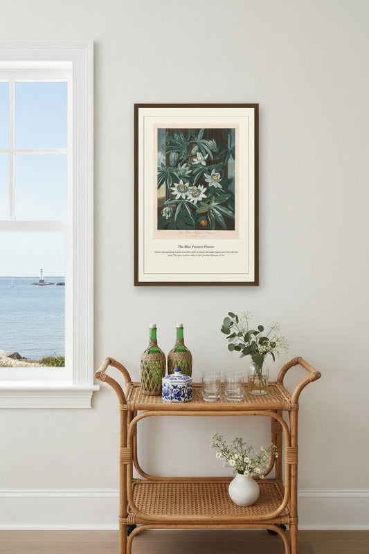 The Blue Passion Flower — Antique Botanical Print