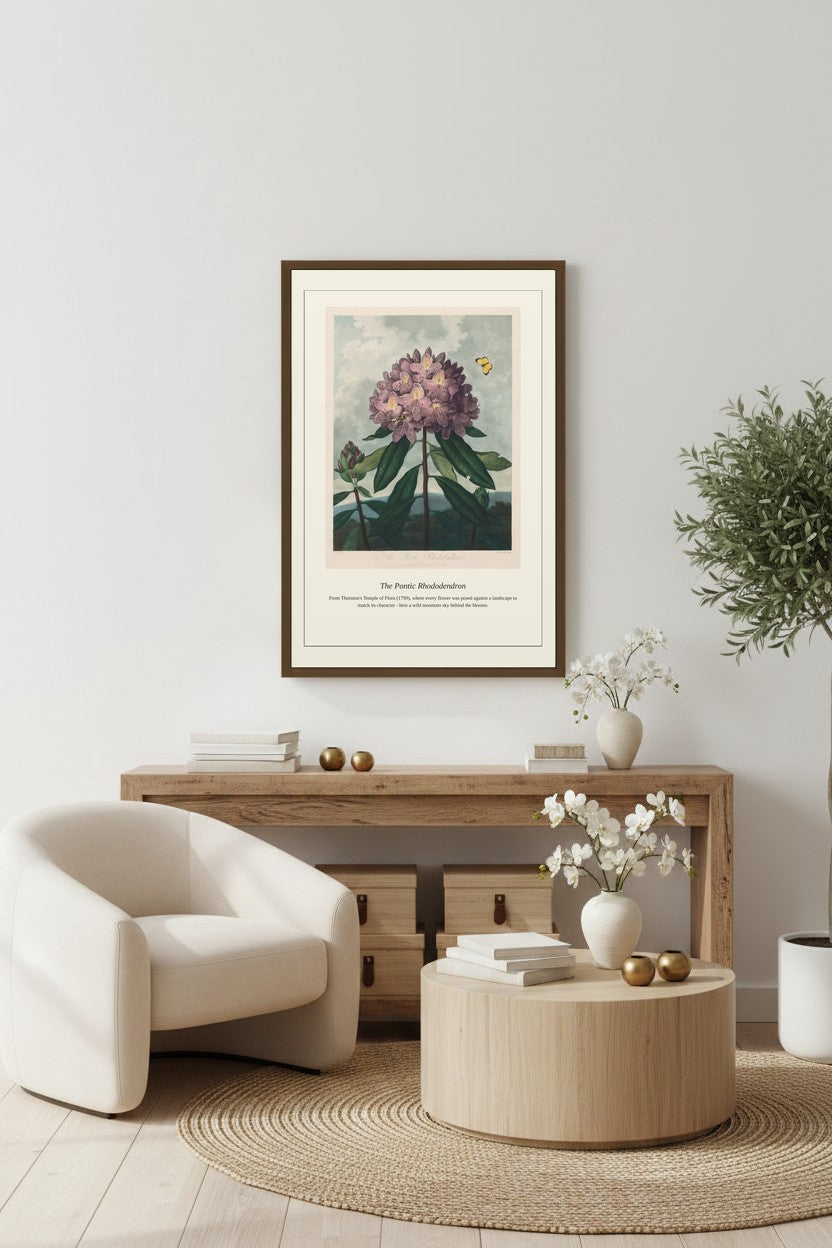 A framed botanical art print of a purple flower hangs on a light gray wall above a wooden console table in a styled living room setting with a cream armchair, round coffee table, and potted plant.