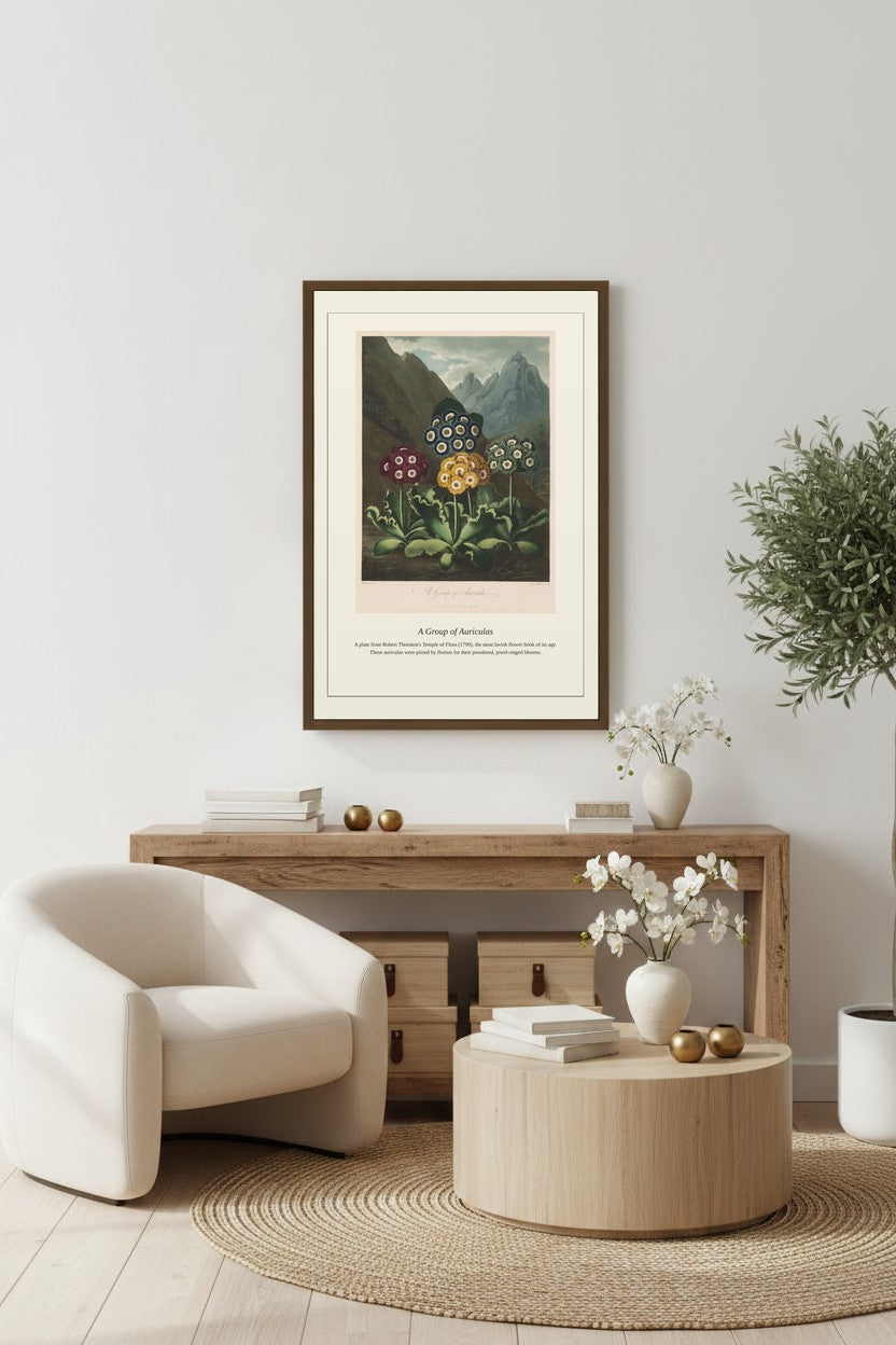 A framed botanical art print of 'Fritillaria Navicularia' hanging on a light gray wall above a wooden console table in a modern, minimalist living room setting.