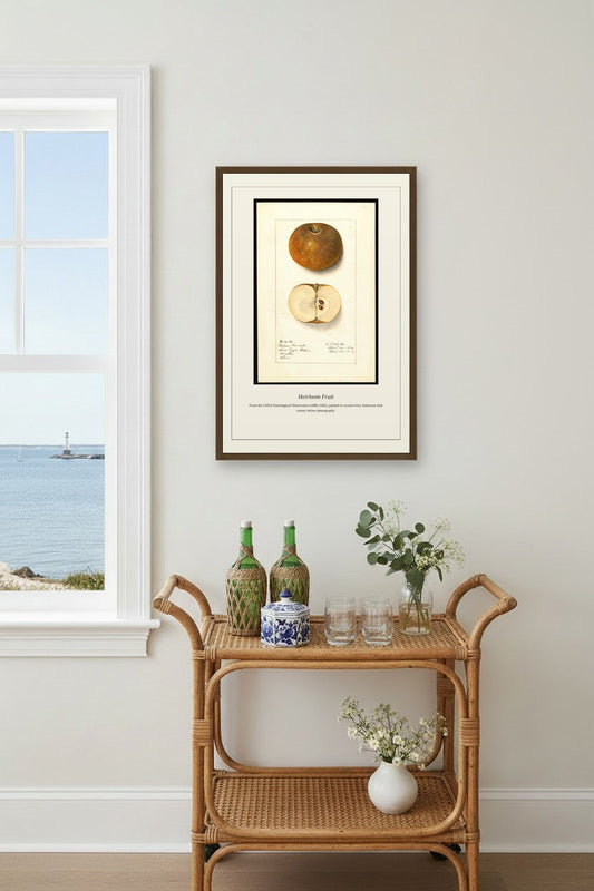 USDA Pomological Watercolor Fruit print framed above a beige sectional sofa in a bright living room