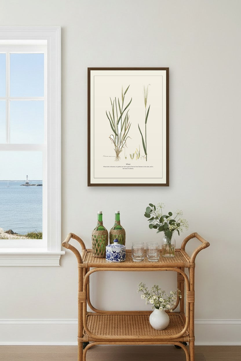 Wheat — Antique Botanical Print