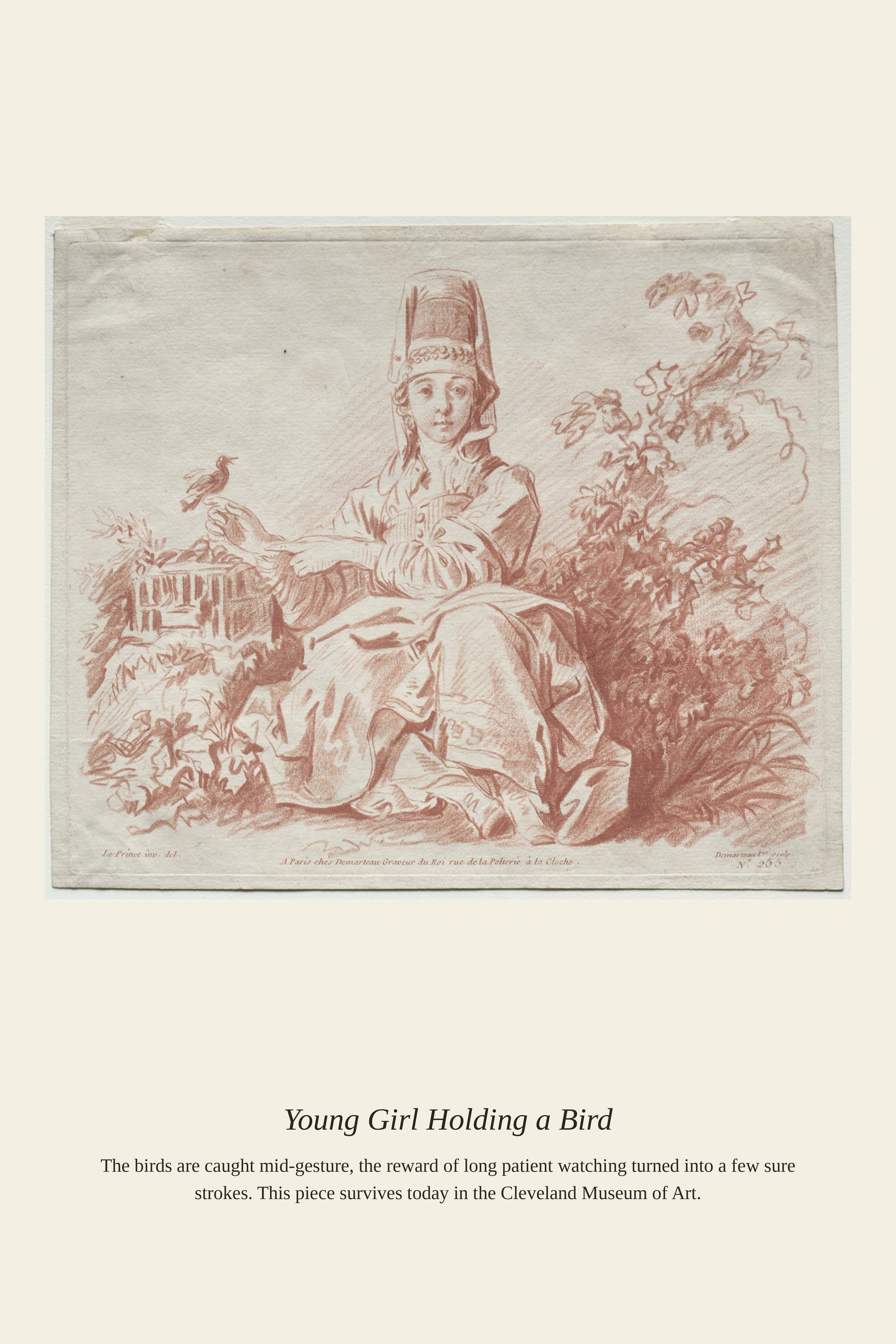 Young Girl Holding a Bird — a restored antique natural history print